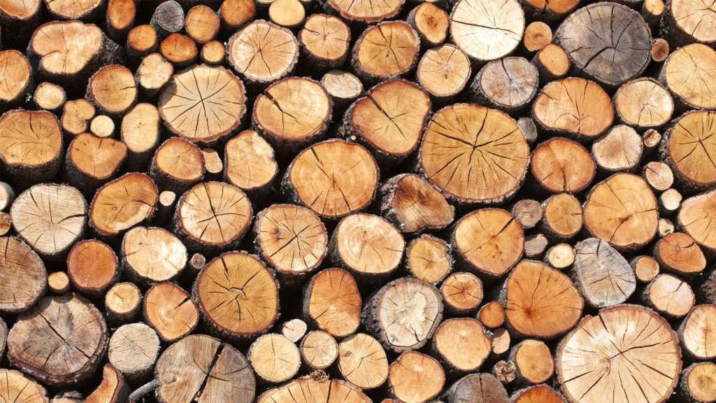 Timber wood